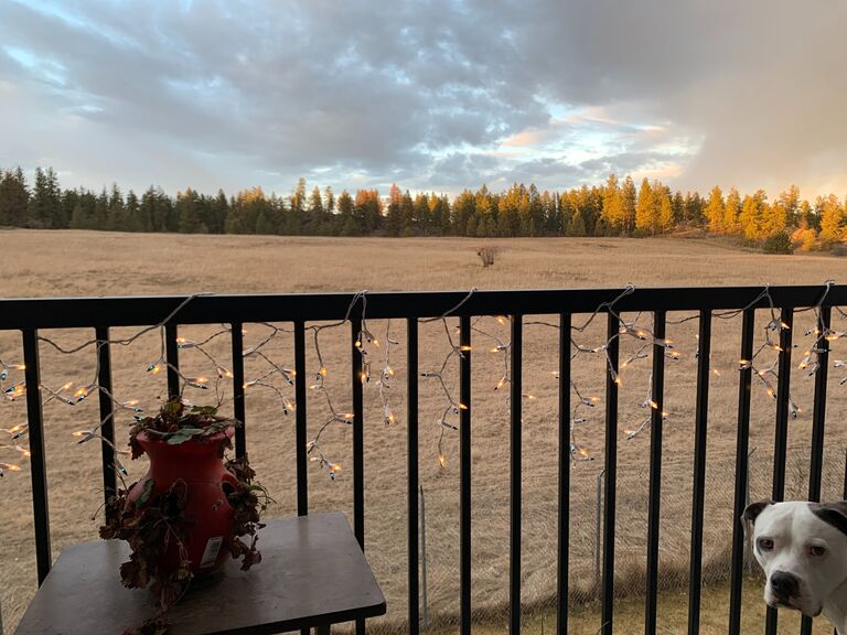 Alysia, Leo, & Winnie move in with Corey. Here's the view that helped us survive though the COVID lockdown together <3