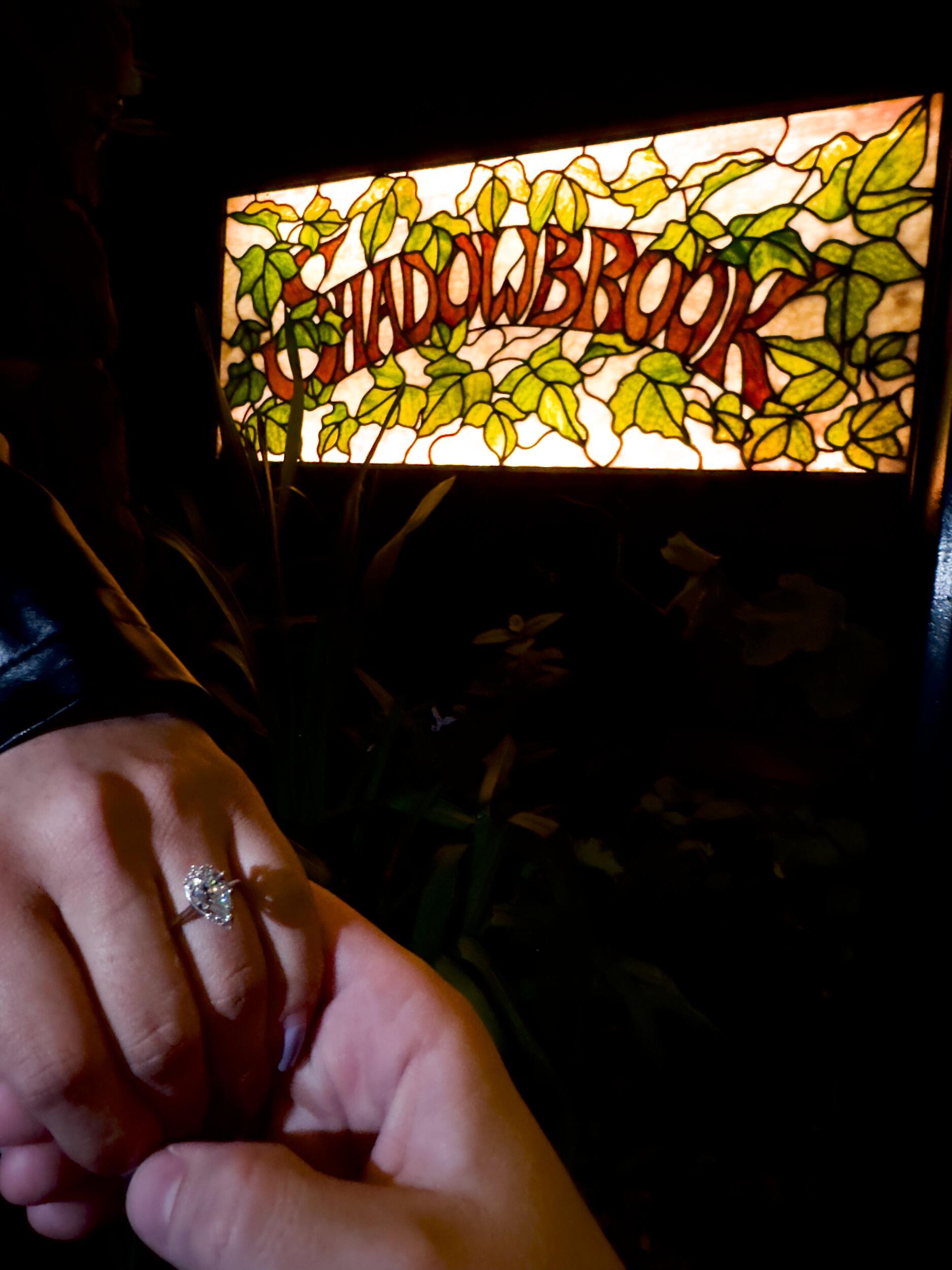 Michael proposed to Tania in the cable car going down to their favorite restaurant. 