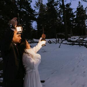 Gallery Photo 8