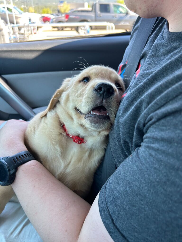 Got our first puppy together! Meet Baker