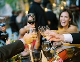 close-up of hands raising wine glasses for a toast