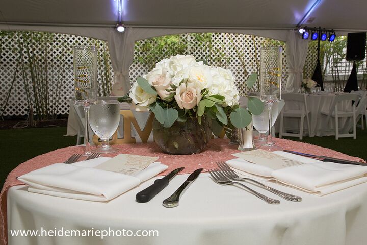 Palm Island Resort | Reception Venues - Cape Haze, FL