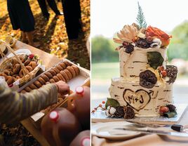 Fall engagement party ideas: apple cider and cider donuts, birch bark cake