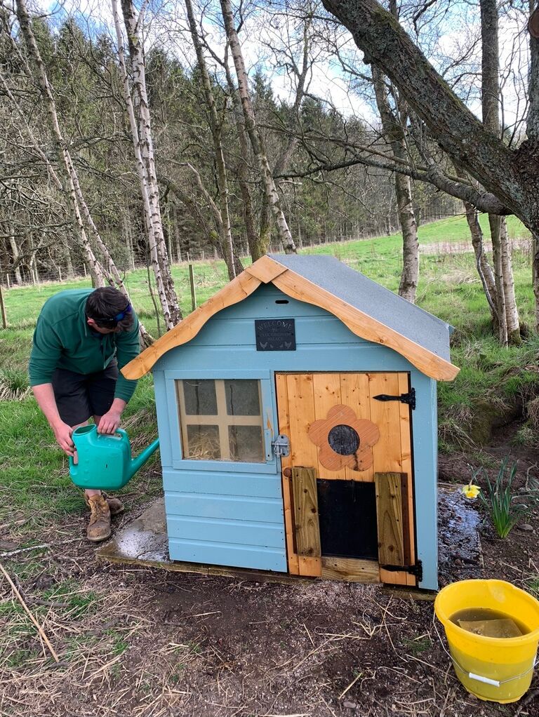 The first house we built - Cluckingham Palace for our chickens