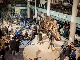The Academy of Natural Sciences - Dinosaur Hall - Museum - Philadelphia, PA - Hero Gallery 3