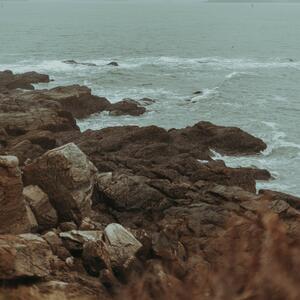 Gallery Photo 41