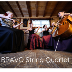 BRAVO String QUARTET, profile image