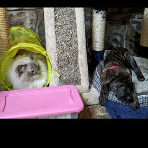 Gallery Photo 27