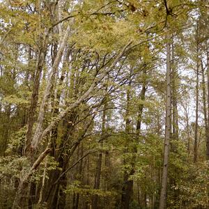 Gallery Photo 11