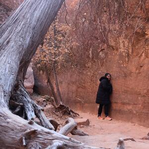 Gallery Photo 114