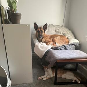 Gallery Photo 37
