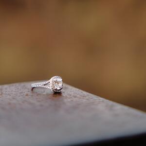 Gallery Photo 35