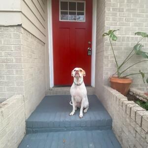 Gallery Photo 20