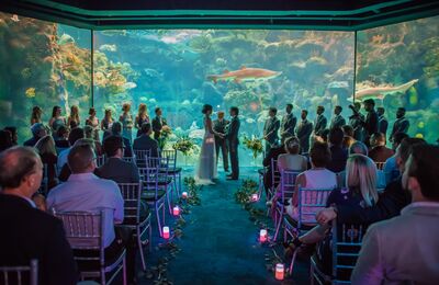 Garden Wedding Venues In Tampa Fl The Knot