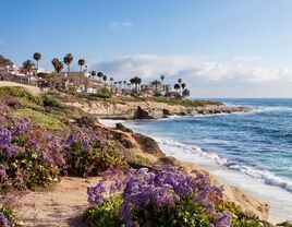 san diego bachelor party photo of beautiful beaches and waves