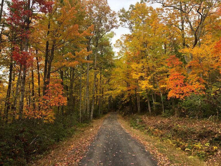 We went on our first fall hike in Minnewaska State Park, starting an annual tradition.