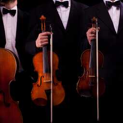 Consonance Music Ensembles, profile image