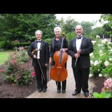 Allegro Chamber Players - Classical Quartet - Providence, RI - Hero Main