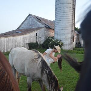 Gallery Photo 29