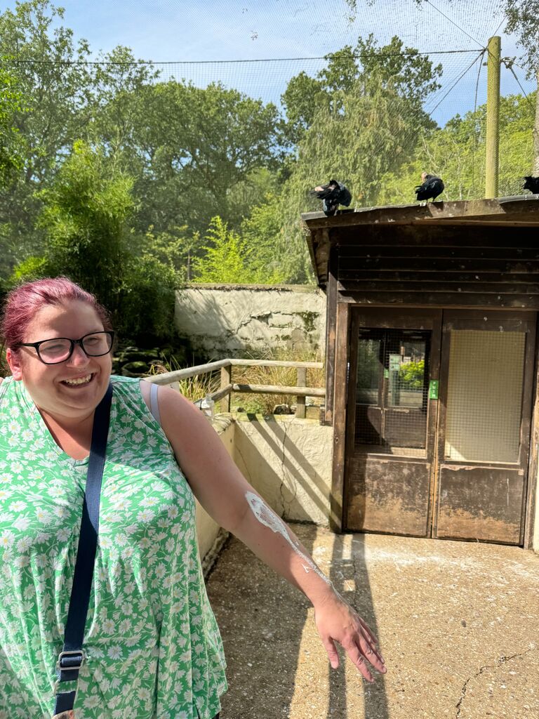 Once home Matthew joined Emily at Bird World and met Becca for the first time.  It was an eventful day... 💩