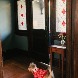 Gallery Photo 26