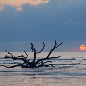 Gallery Photo 20