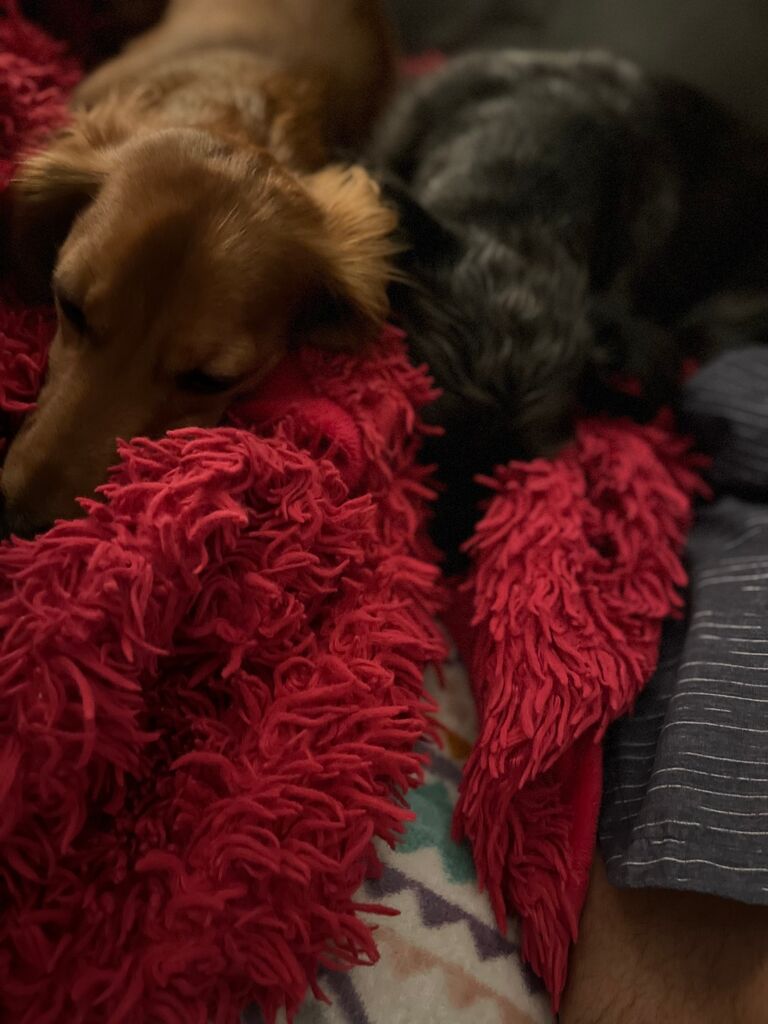 Frenemies! 