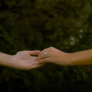 Gallery Photo 58
