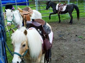 Aly's Ponies & Traveling Barnyard - Pony Rides - Poughkeepsie, NY - Hero Gallery 4