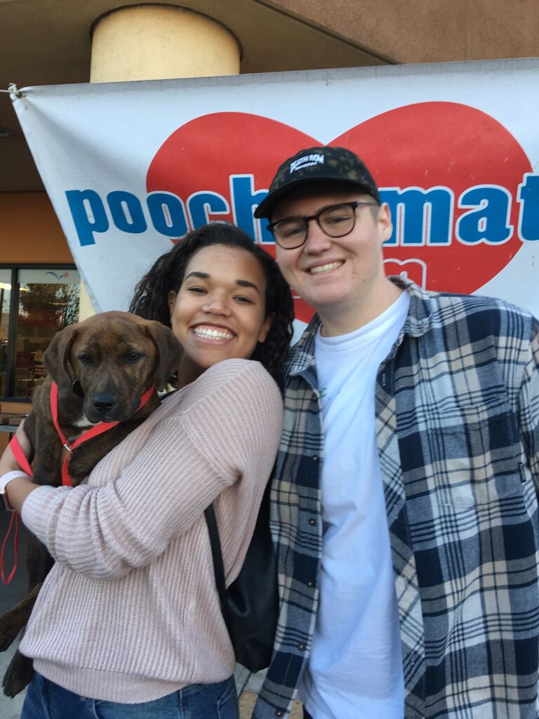 We adopted our first born son, Jax 🐾.