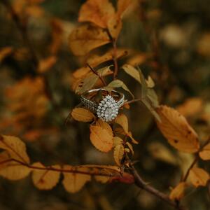 Gallery Photo 9