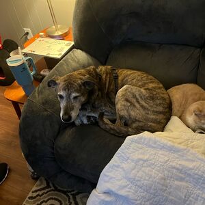 Gallery Photo 24