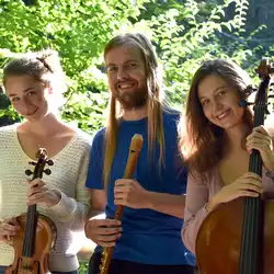 Lampyridæ - Celtic Fiddle Trio, profile image