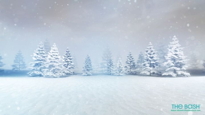 Holiday Zoom Background