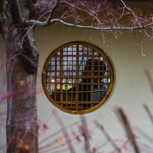 Gallery Photo 18