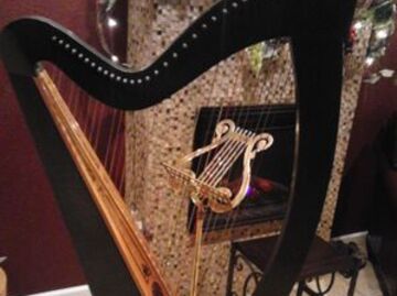 Sally Morris - the Magical Harp - Harpist - Grand Forks, ND - Hero Main