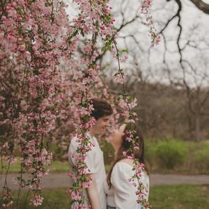 Gallery Photo 8