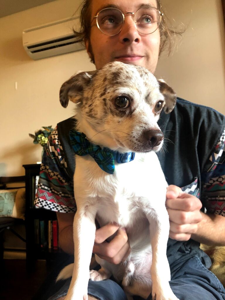 After less than a month of living together, we made the rational decision to adopt a 2nd dog, Bert, thinking he would be a Rosie 2.0. We were proven wrong pretty quick, and he's been our little gremlin ever since.