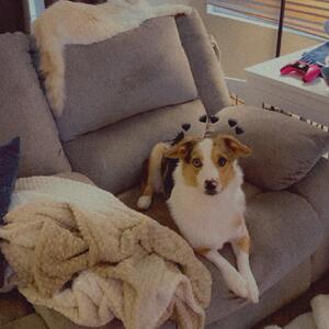 Gallery Photo 33