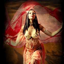 Belly dancer/fire dancer/hula dancer NY-NJ Aisha, profile image