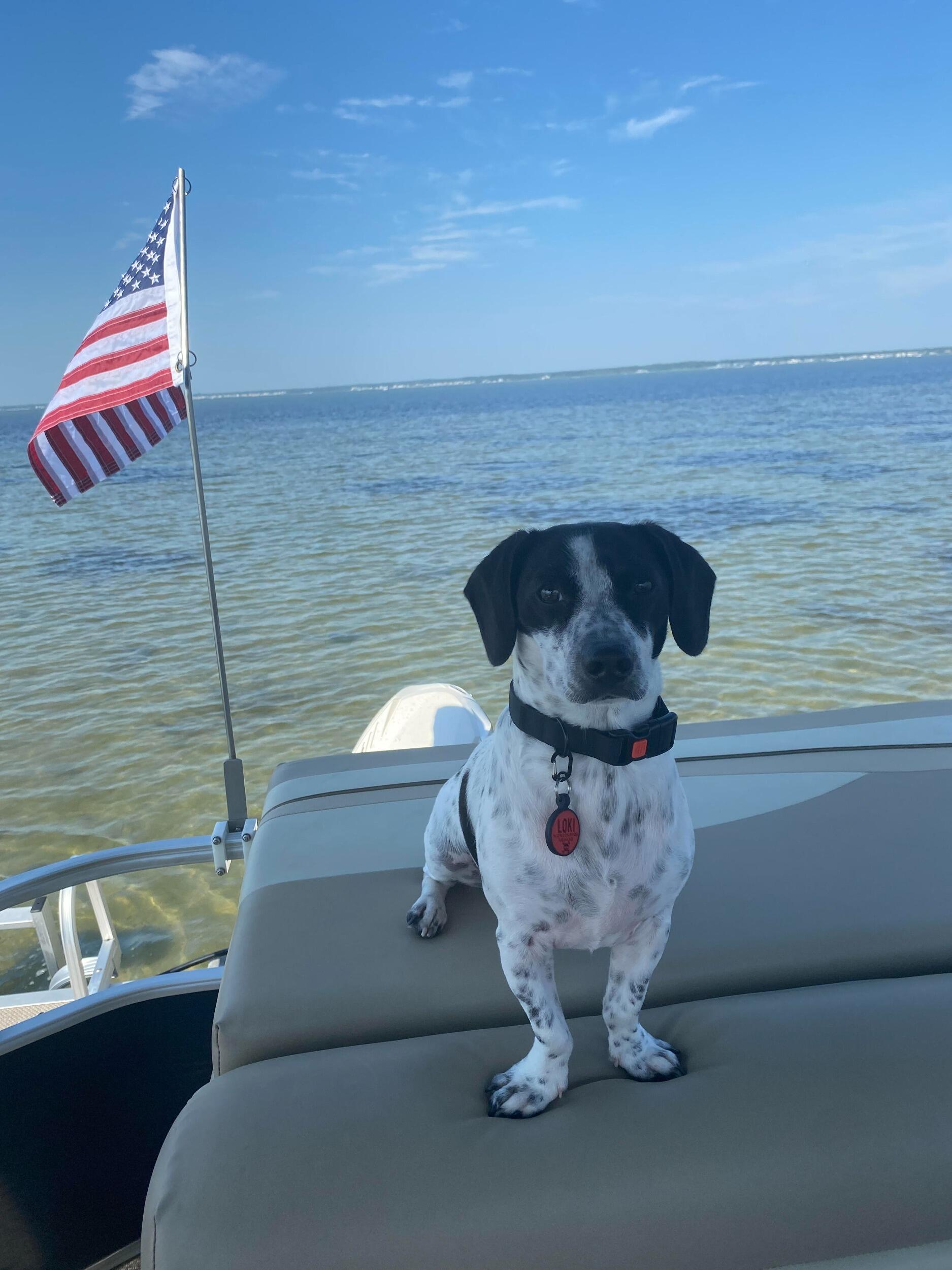 We had an amazing summer exploring, boating, and beaching it with Loki of course!