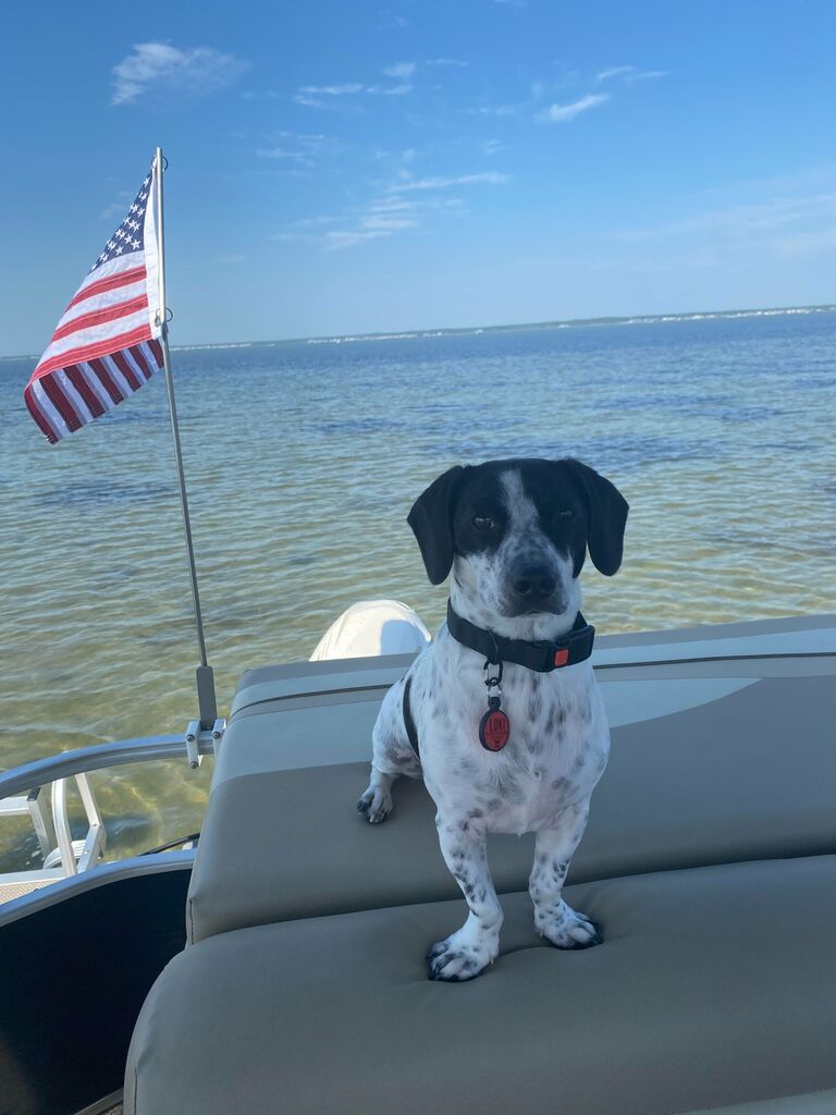 We had an amazing summer exploring, boating, and beaching it with Loki of course!