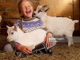 All About A Farm - Petting Zoo - Davis, CA - Hero Gallery 4
