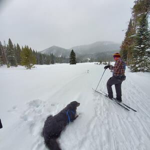 Gallery Photo 64