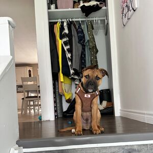 Gallery Photo 17