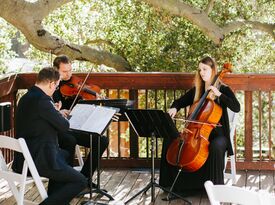 Mercury String Quartet - String Quartet - Los Angeles, CA - Hero Gallery 4