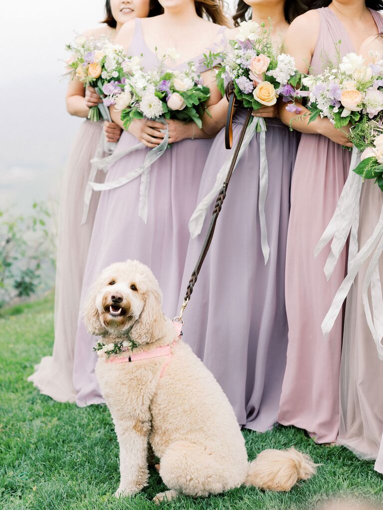 Bridesmaids posing with dog during wedding portraits