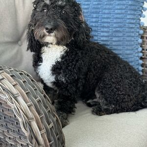Gallery Photo 18