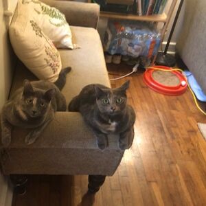 Gallery Photo 48
