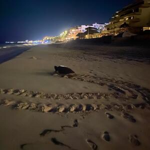 Gallery Photo 22